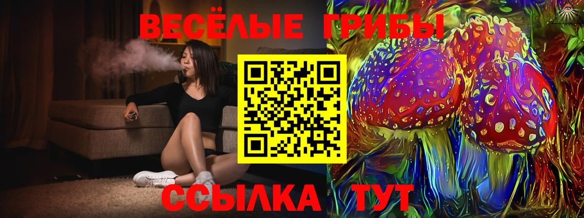 Кубинка  Галлюциногенные грибы MAGIC MUSHROOMS  Вход с VPN  купить  цена  Галлюциногенные грибы GOLDEN TEACHER 